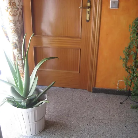 Guest house El Pinar 2*
